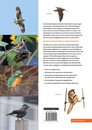 Vogelgids Handboek Vogels van Nederland | KNNV Uitgeverij