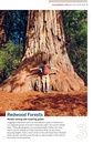 Reisgids Experience California - Californië | Lonely Planet