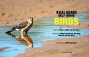 Vogelgids Kgalagadi Self-Drive Birds | HPH Publishing