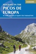 Wandelgids Walking in the Picos de Europa | Cicerone